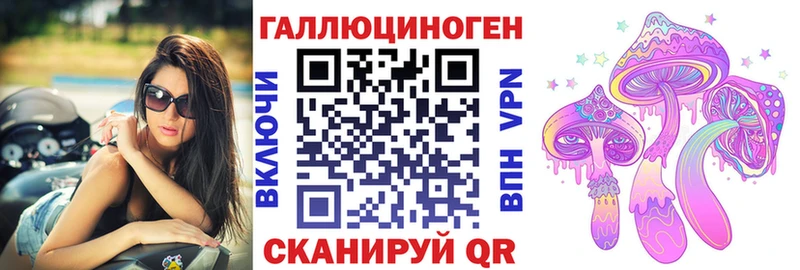 Псилоцибиновые грибы Psilocybine cubensis  Уяр 